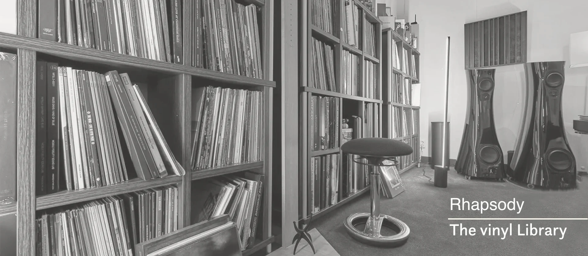 The Vinyl Library